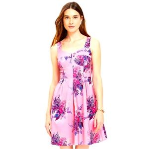 Loft Paisley Corset Seamed Flare Dress New Size 10